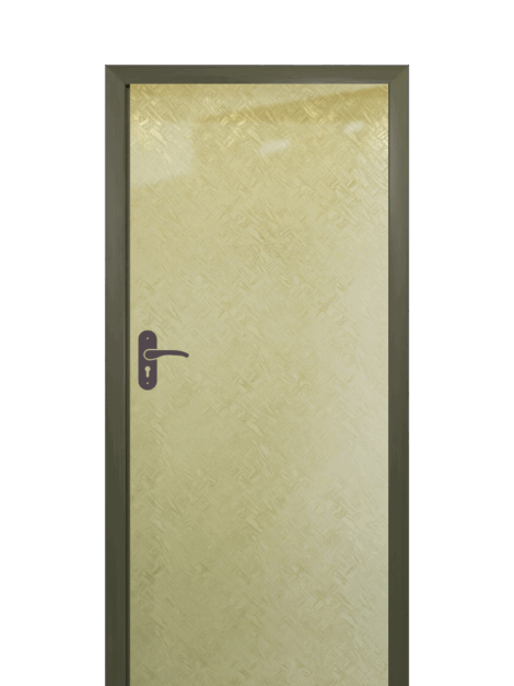 Door Window